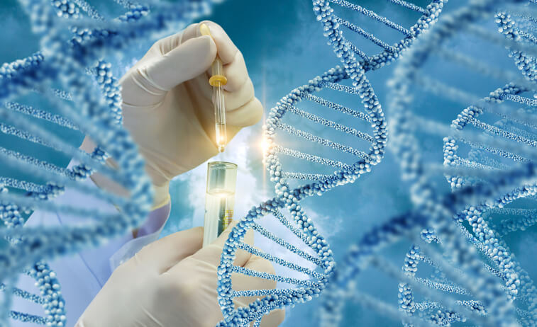 The Truth About Genetic Modification of Embryos