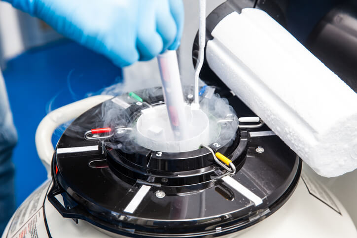 Failure of Frozen Embryo Storage — What’s the Next Step?