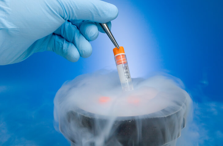 Which is More Successful: A Fresh or Frozen Embryo Transfer?