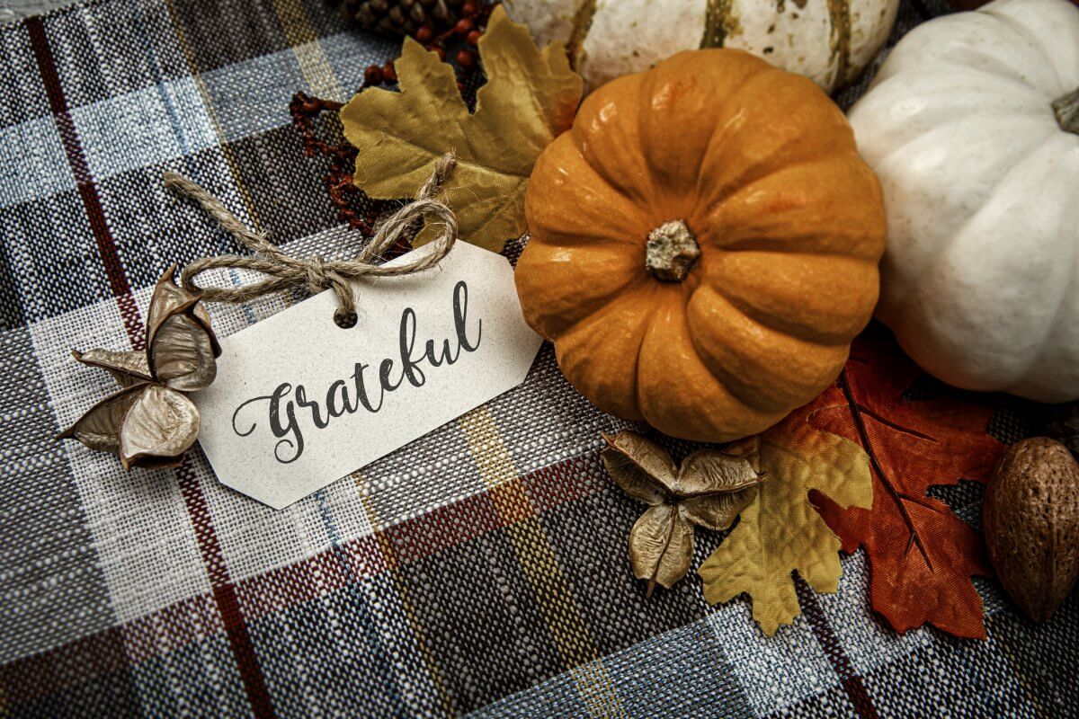 What American Surrogacy is Thankful for This Year