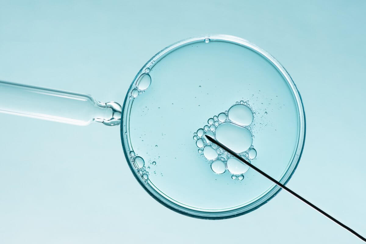 How Embryos are Handled in Surrogacy and IVF
