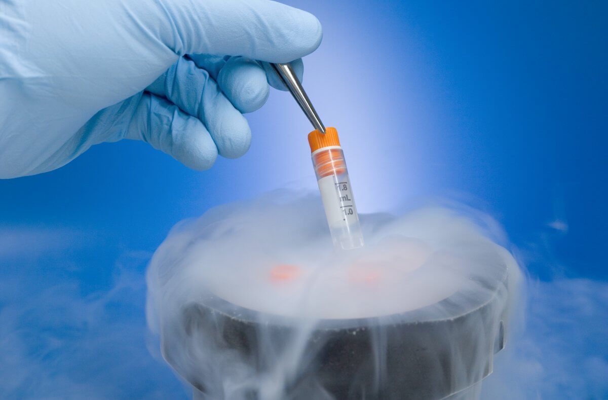 Surrogacy With Frozen Embryos [What to Know]