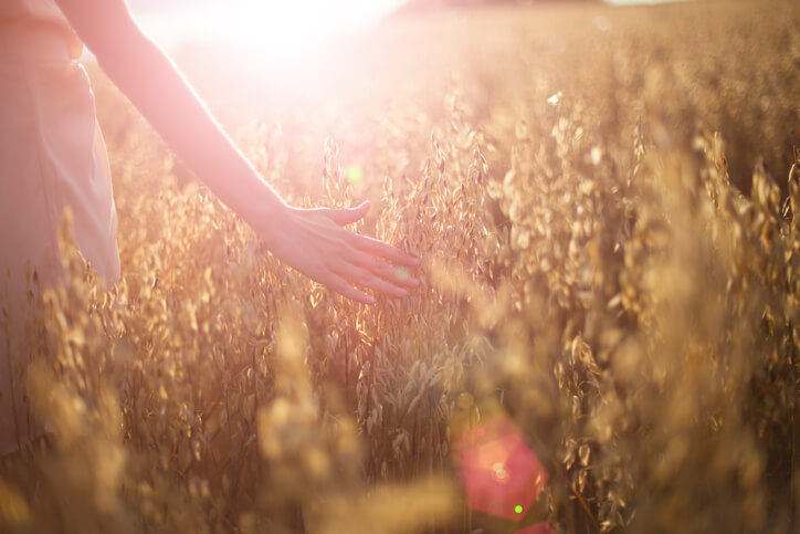 Infertility to Surrogacy