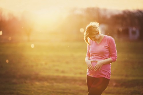 Surrogate Requirements