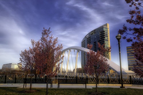 What You Need to Know About Surrogacy in North Dakota