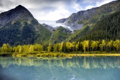 What You Need to Know About Surrogacy in Alaska