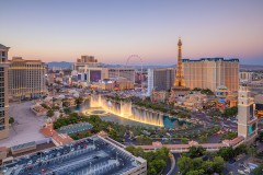 What You Need to Know About Surrogacy in Nevada