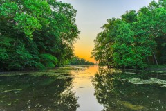 What You Need to Know About Surrogacy in Arkansas