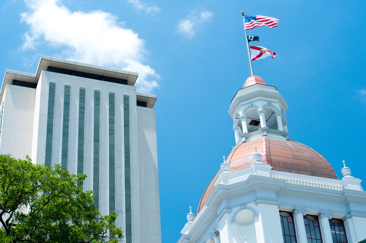 Surrogacy in St. Petersburg, FL