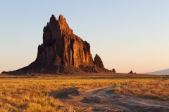 What You Need to Know About Surrogacy in New Mexico