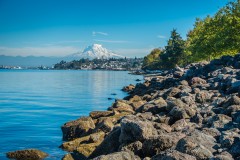 What You Need to Know About Surrogacy in Washington