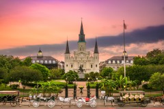 What You Need to Know About Surrogacy in Louisiana