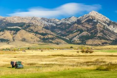What You Need to Know About Surrogacy in Montana