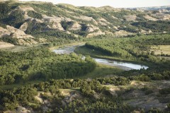 What You Need to Know About Surrogacy in North Dakota