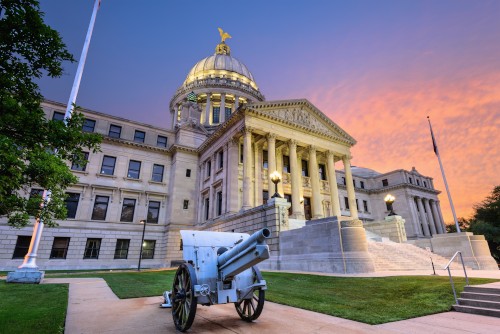 What You Need to Know About Surrogacy in Minnesota